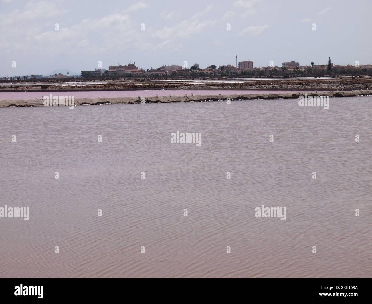 Riserva regionale di las Salinas y Arenales de San Pedro del Pinatar (Regione di Murcia, Regno di Spagna) Foto Stock