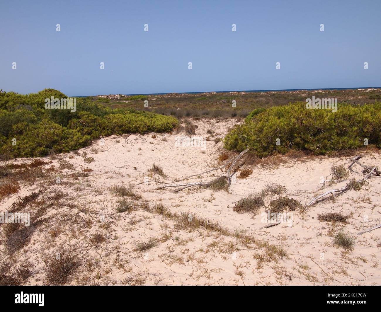 Riserva regionale di las Salinas y Arenales de San Pedro del Pinatar (Regione di Murcia, Regno di Spagna) Foto Stock