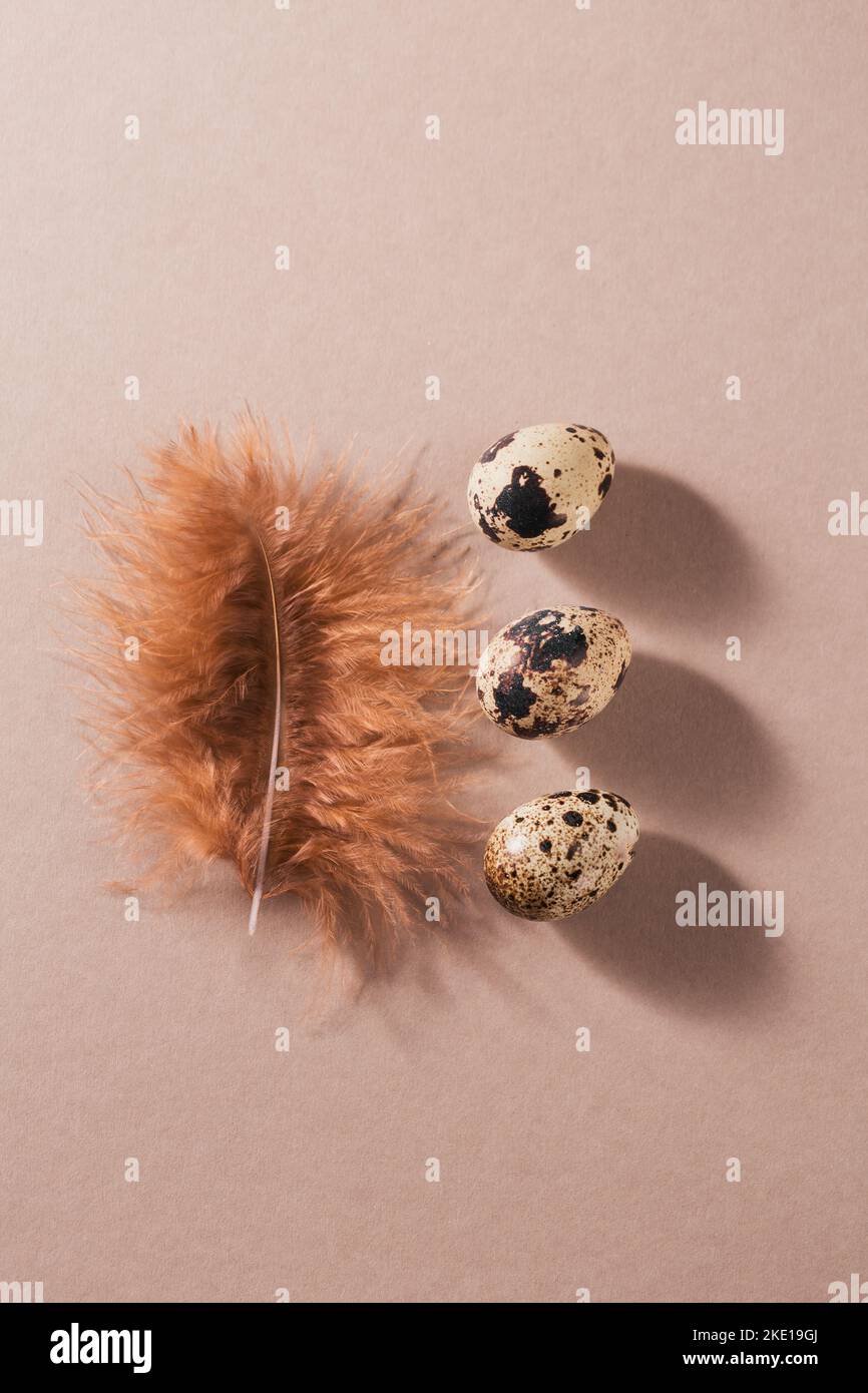 Sfondo pasquale con uova di colore naturale e piume marroni Foto Stock