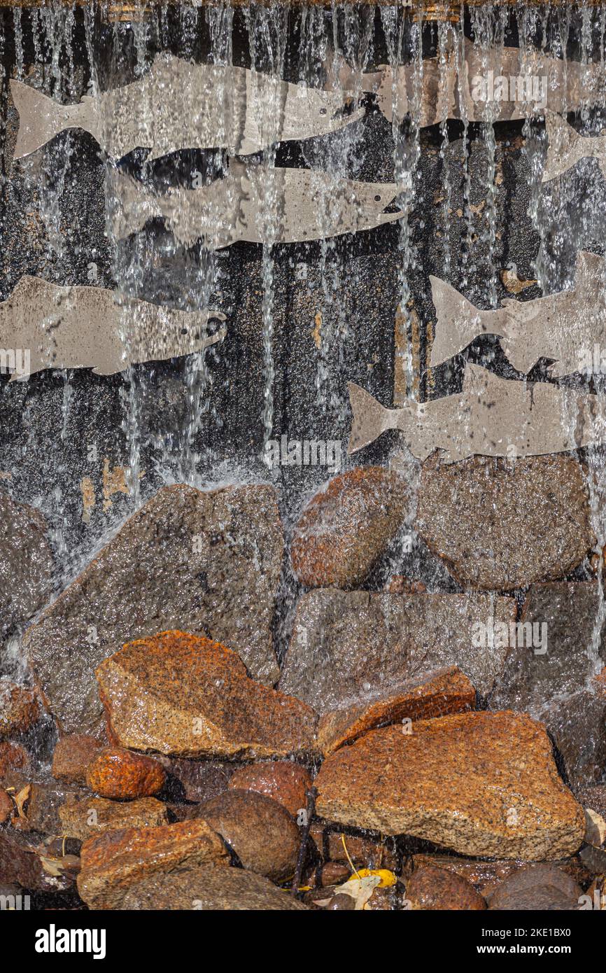 Caratteristica decorativa dell'acqua che celebra il salmone riproduttore situato a Richmond, British Columbia Canada Foto Stock