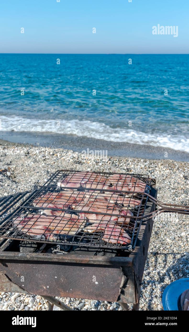 Fette di pesce spada alla griglia in una griglia barbecue, focalizzazione selettiva sul primo piano con profondità di campo bassa, sassi della spiaggia sfocati e mare turchese. Foto Stock