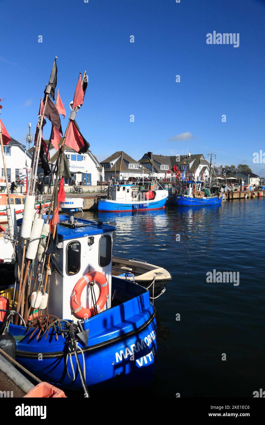 Pescatore nel porto di Vitte, isola di Hiddensee, Mar Baltico, Meclemburgo Pomerania occidentale, Germania Foto Stock