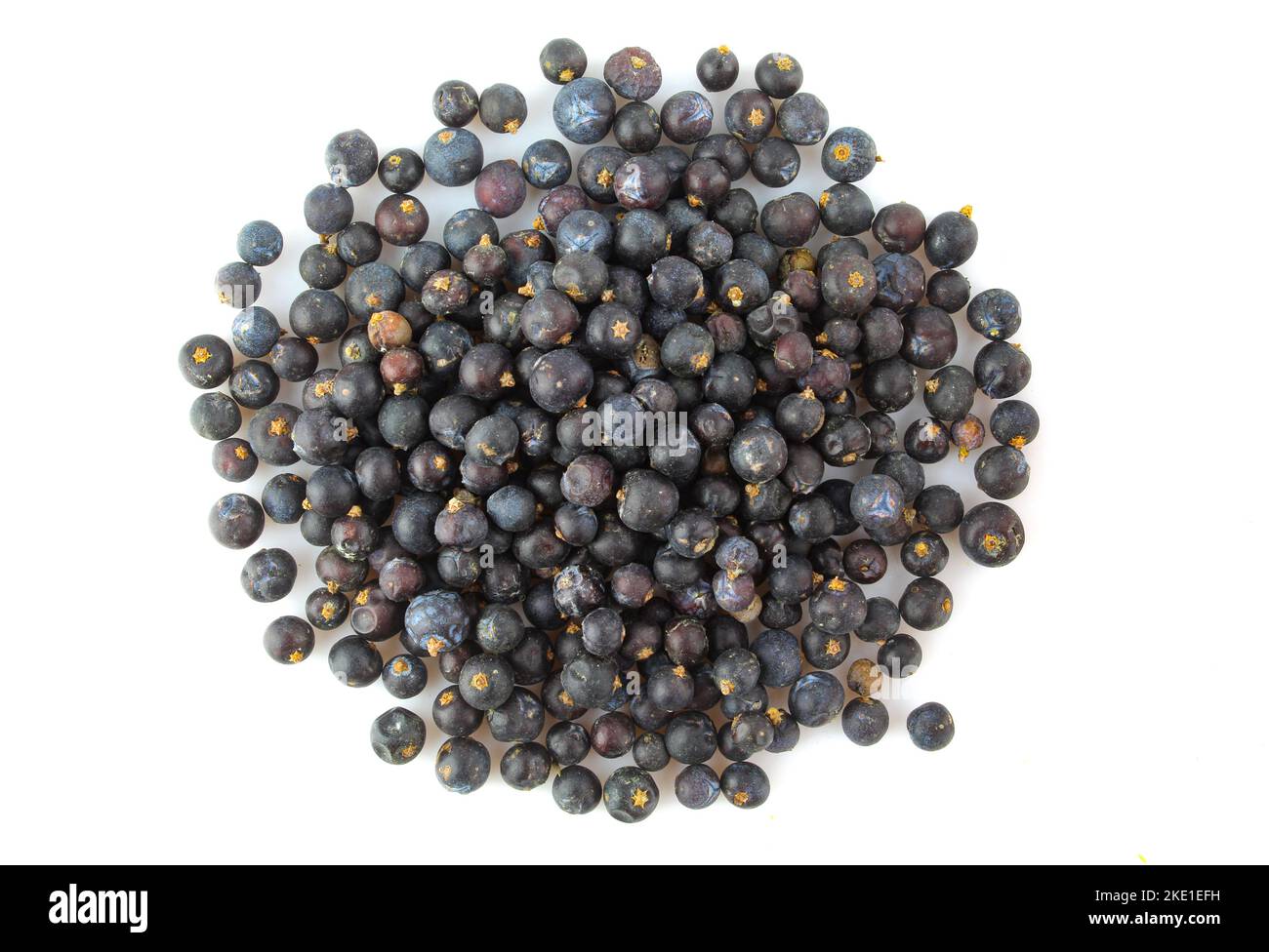 Mucchio di semi di ginepro secchi isolato su backgorund bianco. Ingrediente aromatico del tè Foto Stock