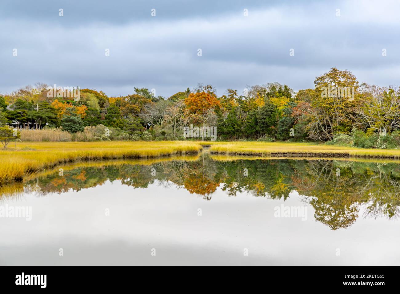 Ambiente naturale a Sag Harbor, NY Foto Stock