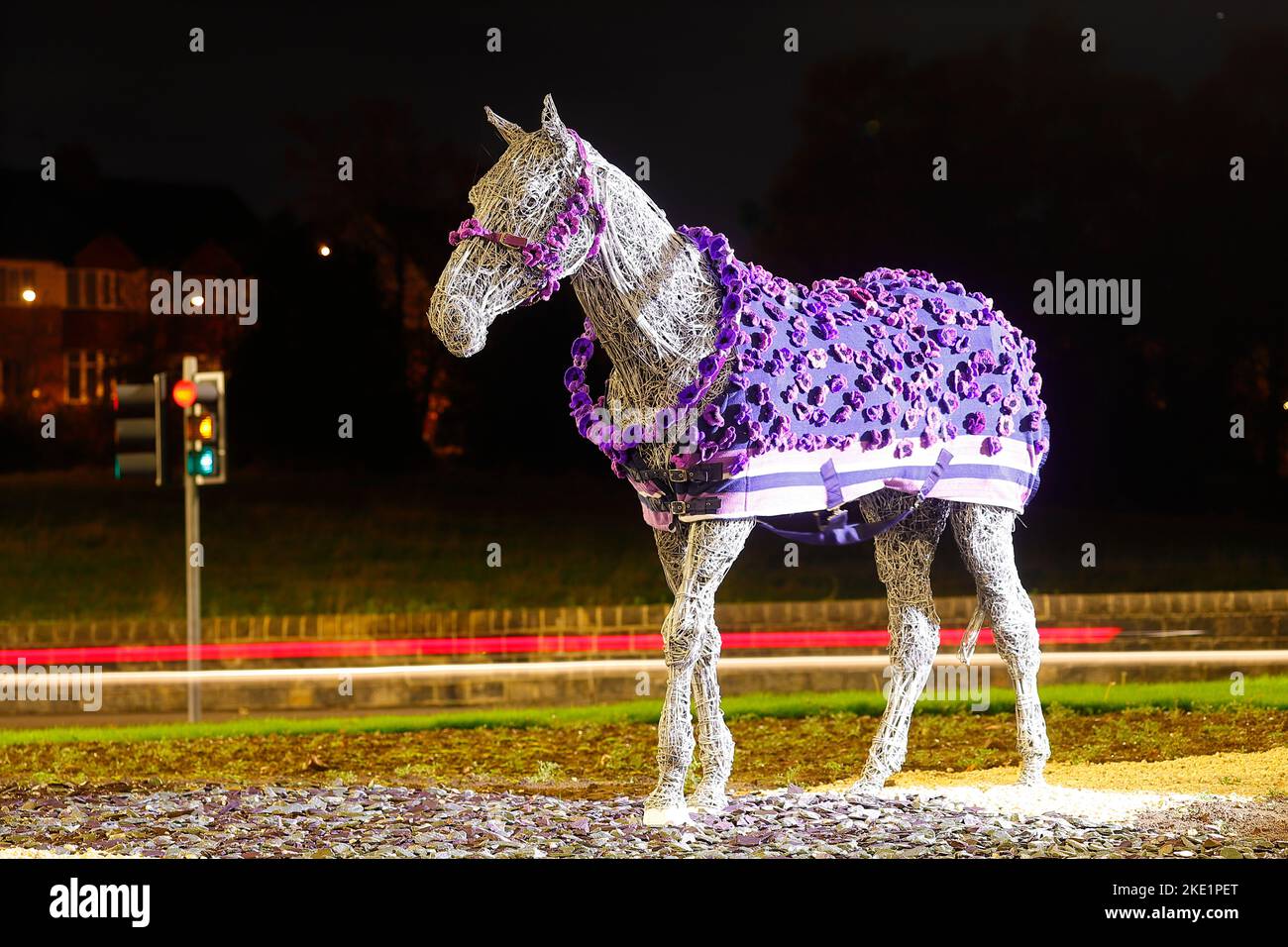 La scultura del cavallo a Horsforth a Leeds è stata data una nuova cappotto di papavero viola dalla campagna di papavero viola dell'esercito di Murphy Foto Stock