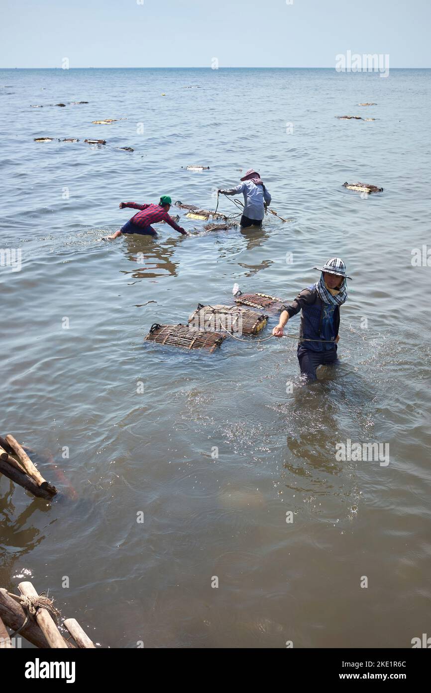 Gabbie di granchi di bambù a Kampot, Cambogia Foto Stock