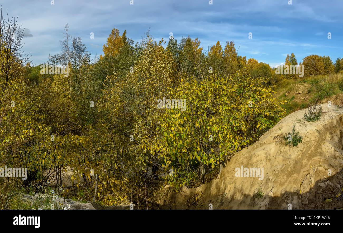 Paesaggio autunnale della riserva Sablinsky nella regione di Leningrado. Foto Stock