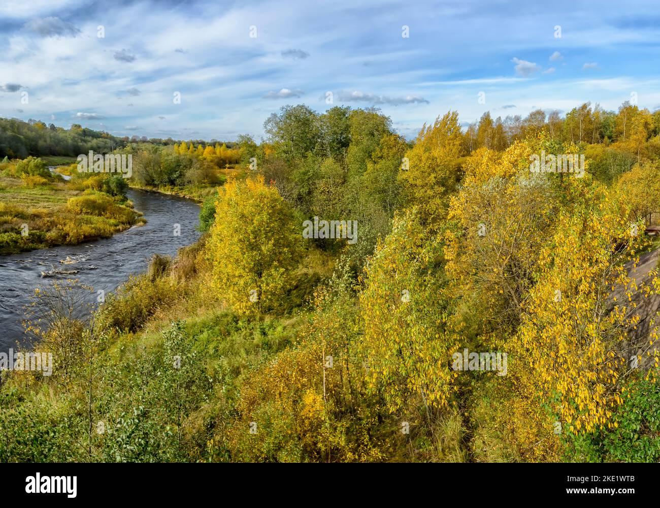 Vista sul fiume Tosna nella riserva Sablinsky nella regione di Leningrado Foto Stock