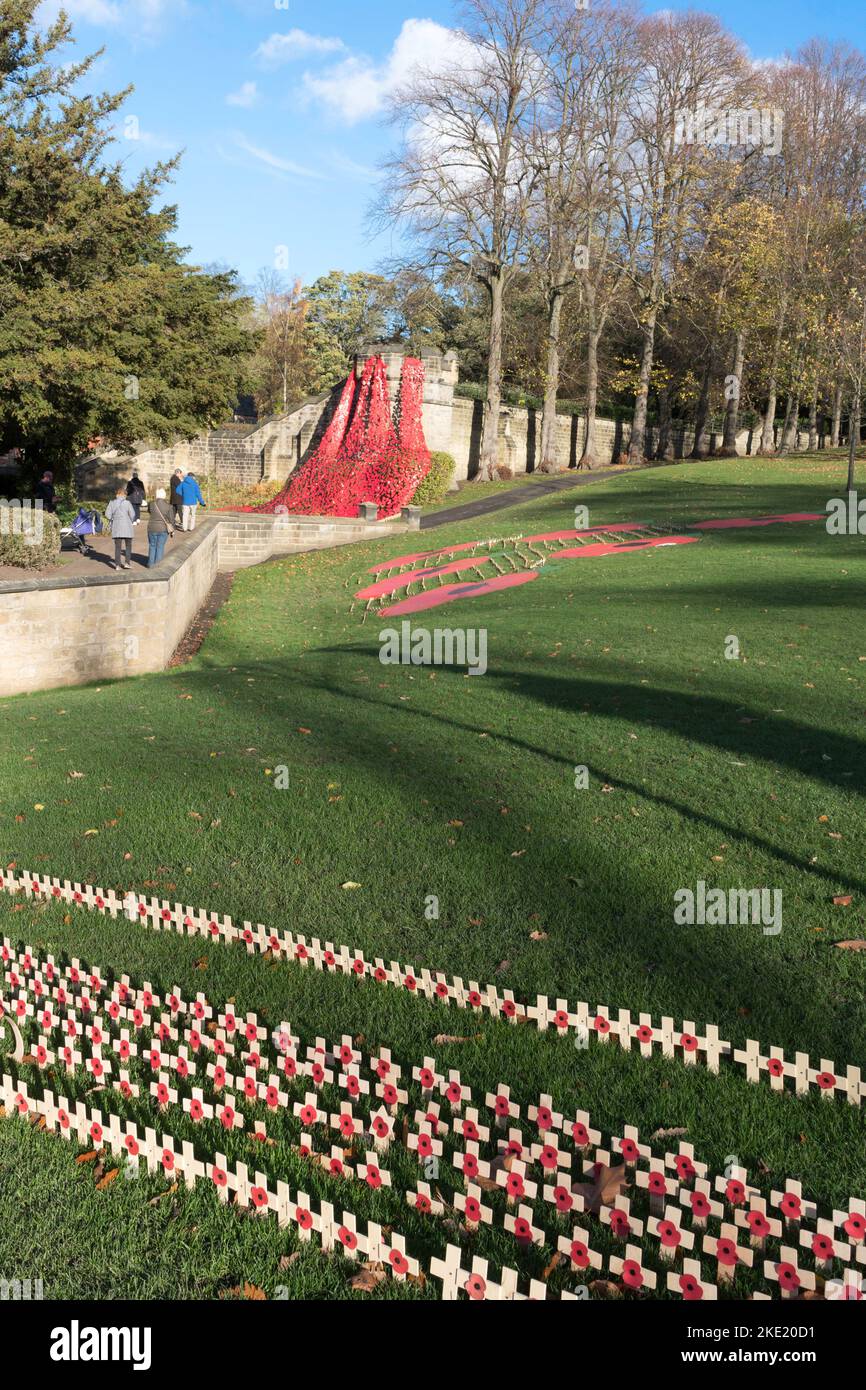 Saltwell Park Field of Remembrance, Gateshead, Inghilterra, Regno Unito Foto Stock