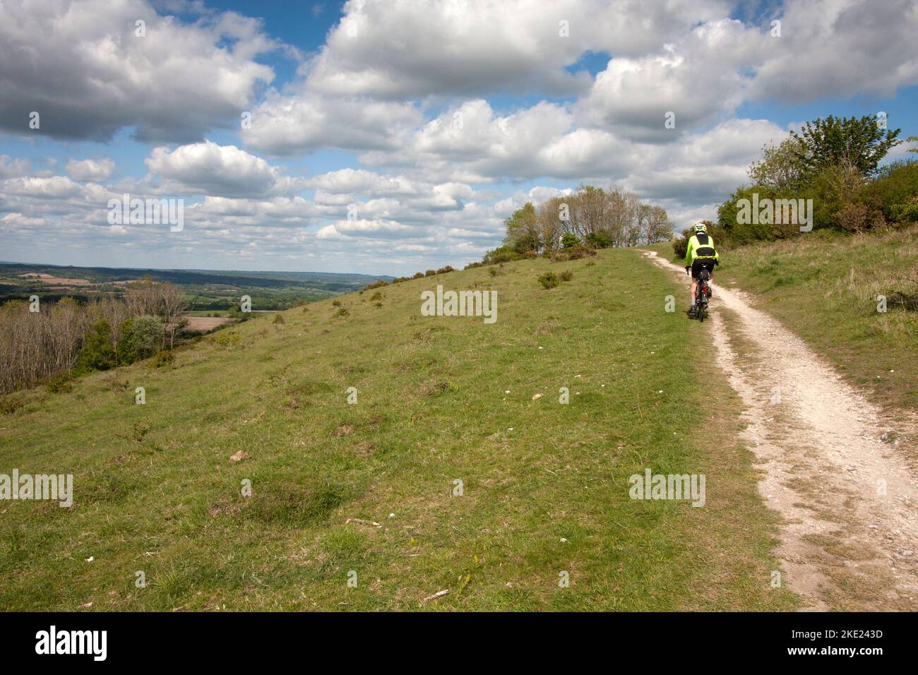 Ciclista su Harting Down, South Downs, West Sussex, Inghilterra Foto Stock