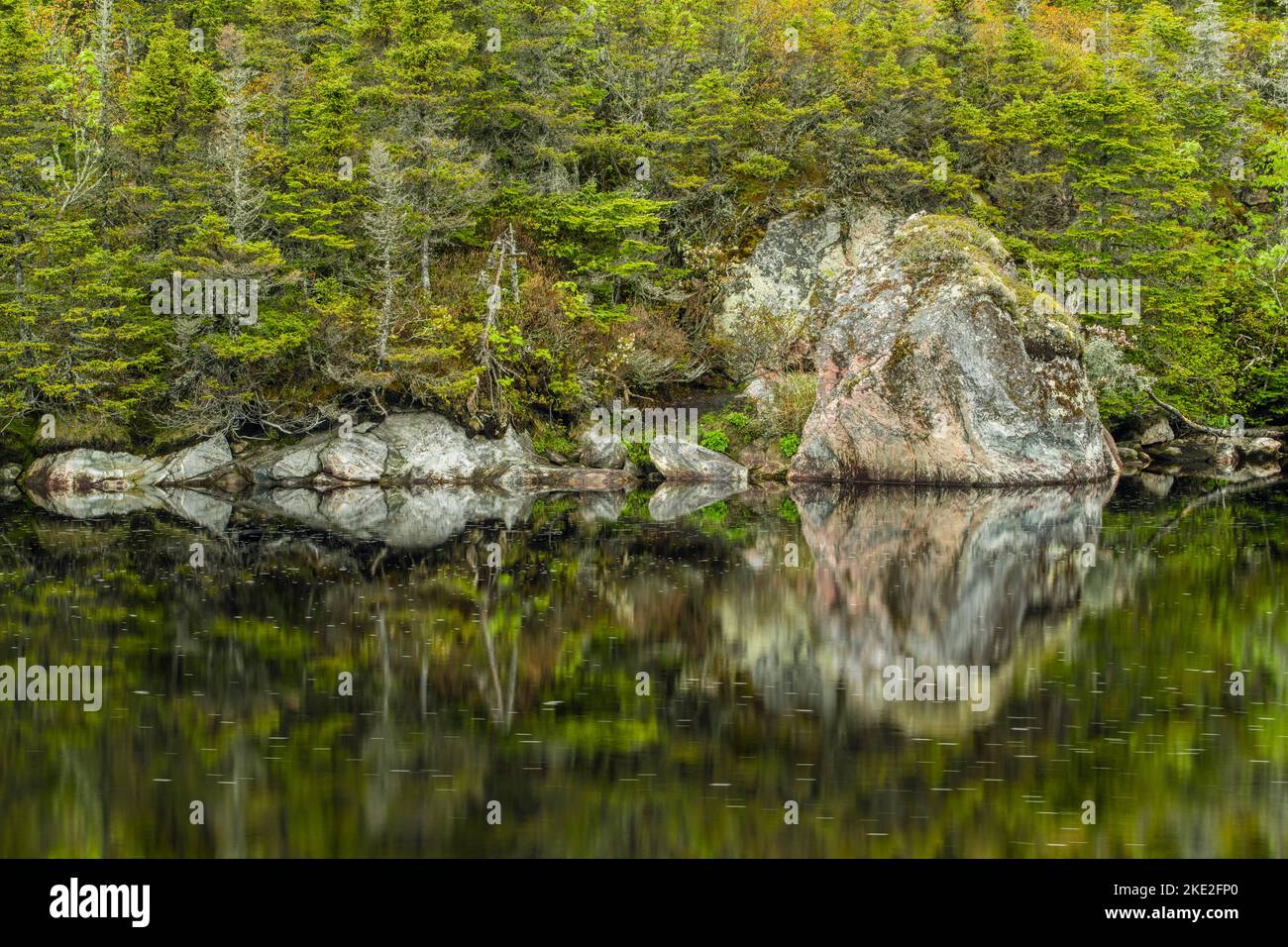 Riflessioni su rocce e alberi in stagni stradali, Hwy 470 , Terranova e Labrador NL, Canada Foto Stock