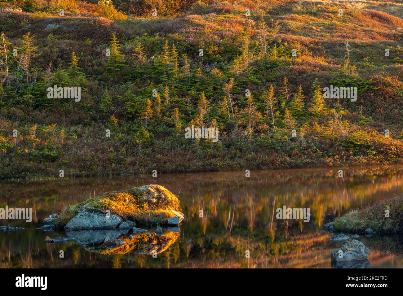 Stagni e terreni senza alberi all'alba, autostrada 470 vicino a Margaree, Terranova e Labrador NL, Canada Foto Stock