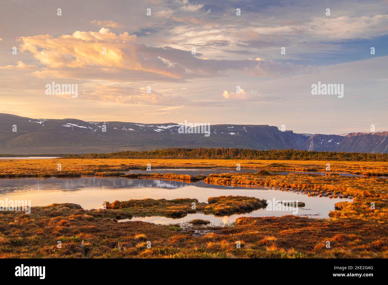 Riflessi dell'alba in stagni costieri di paludi, Parco Nazionale di Gros Morne, Terranova e Labrador NL, Canada Foto Stock