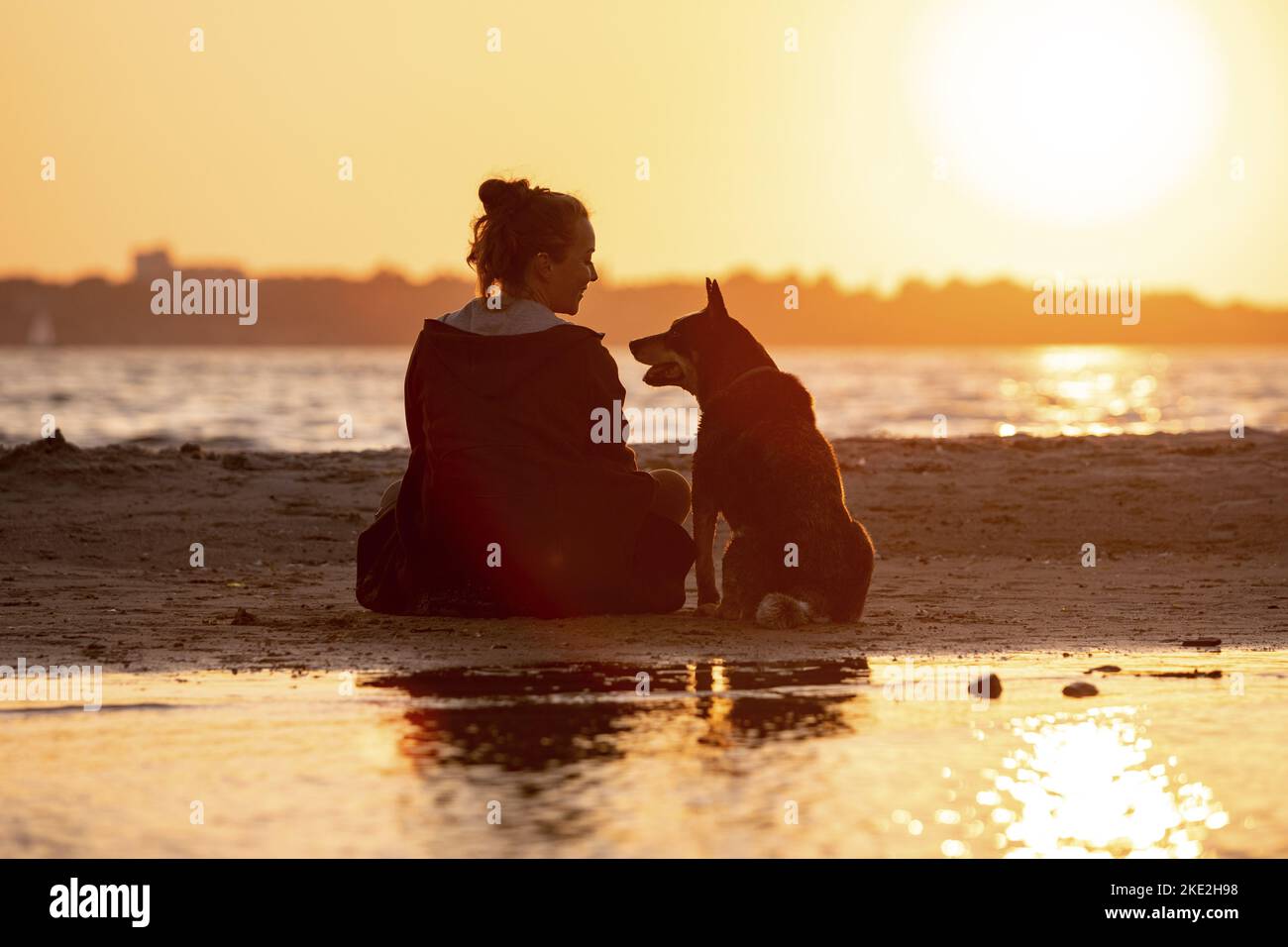 Donna e cane bovino australiano Foto Stock