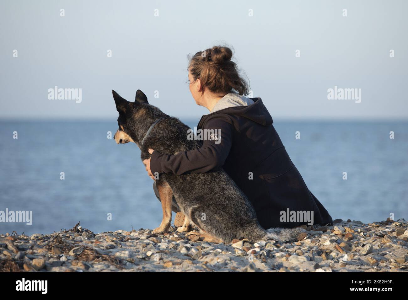 Donna e cane bovino australiano Foto Stock