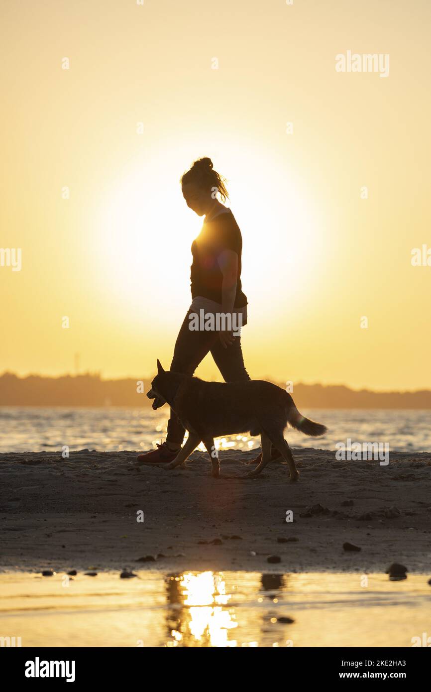 Donna e cane bovino australiano Foto Stock
