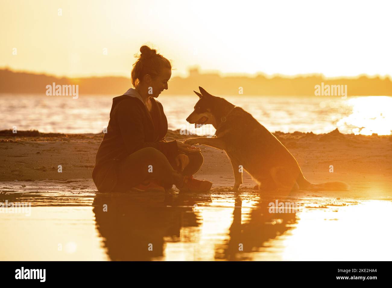 Donna e cane bovino australiano Foto Stock