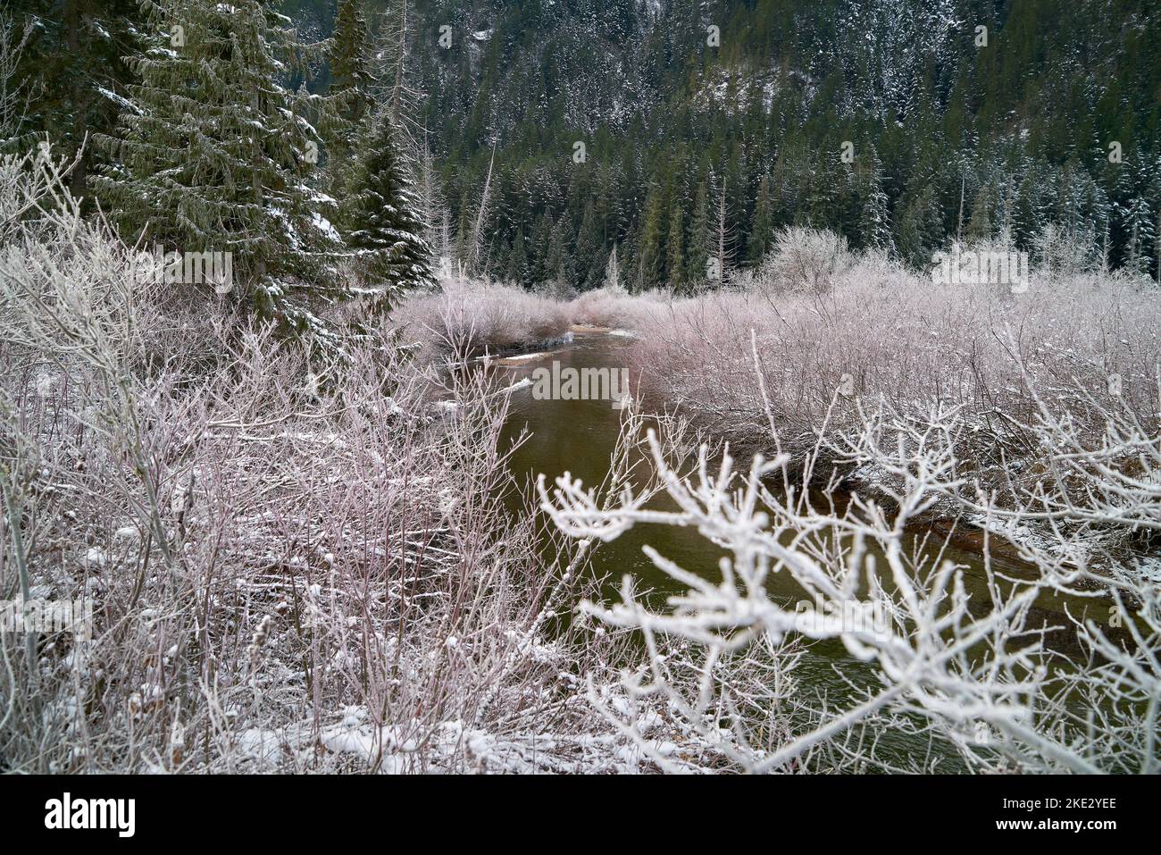 Sumallo River Winter Manning Park. Il fiume Sumallo in inverno scorre attraverso Manning Park nelle Cascade Mountains. Foto Stock