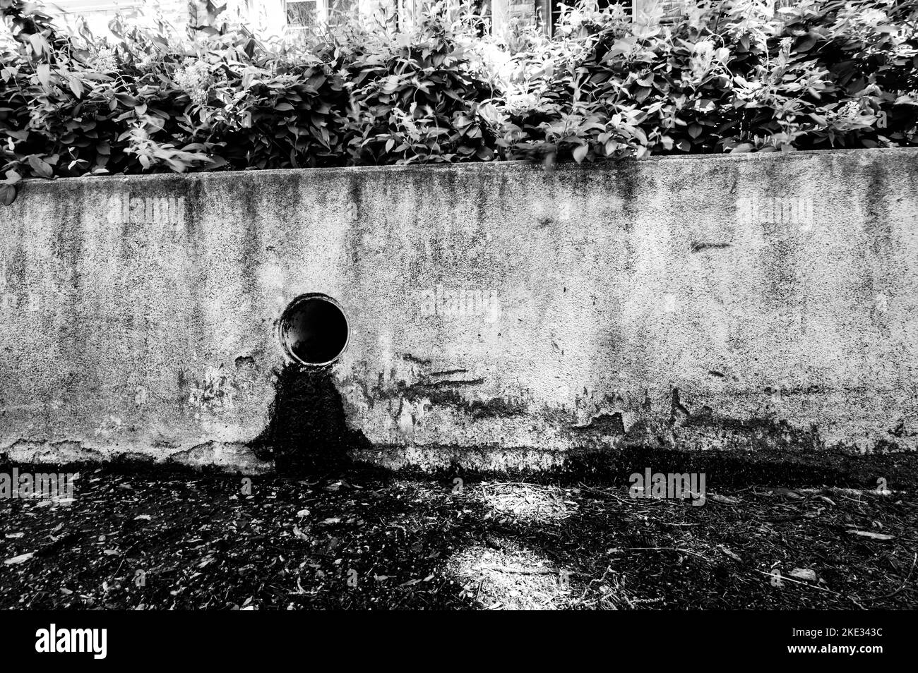 Scarico dell'acqua piovana in un'area urbana con infiltrazioni che scoloriscono una barriera in cemento Foto Stock