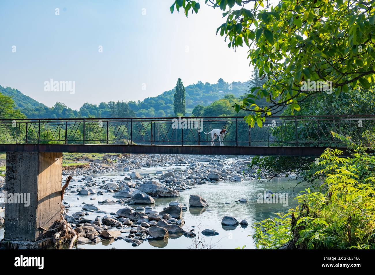 un bellissimo ponte sul fiume in georgia Foto Stock