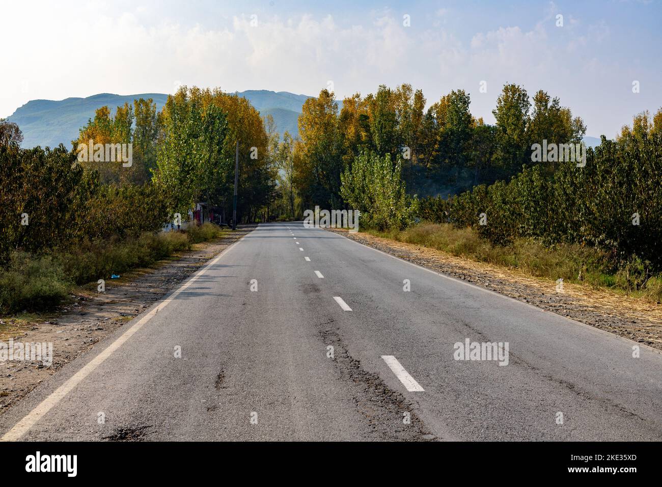 Strada asfaltata vuota attraverso la foresta di pioppo in autunno. Viaggiare nella valle delle palate in autunno Foto Stock