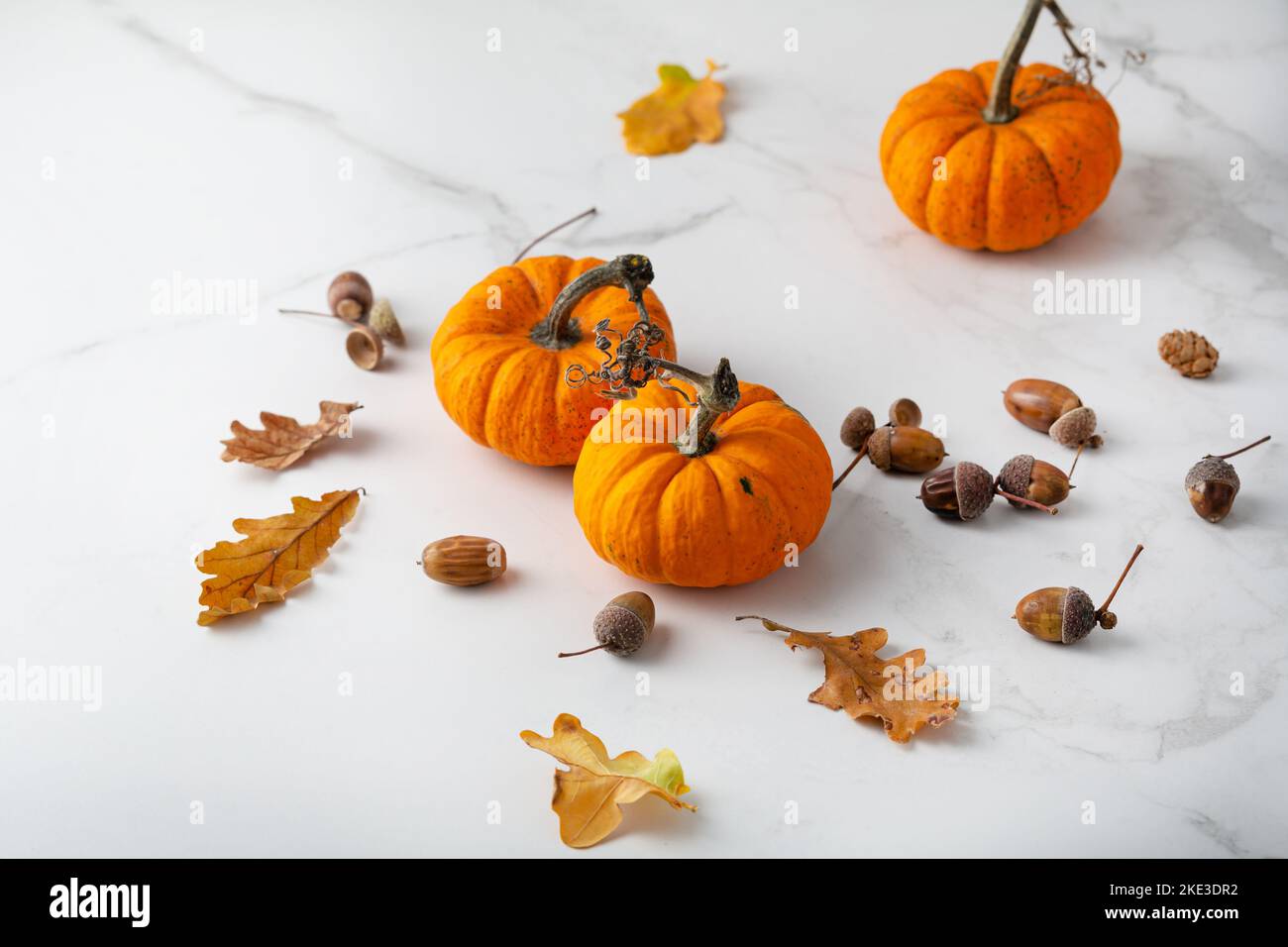 Autunno concept zucca e foglie essiccate su superficie leggera ottobre Foto Stock