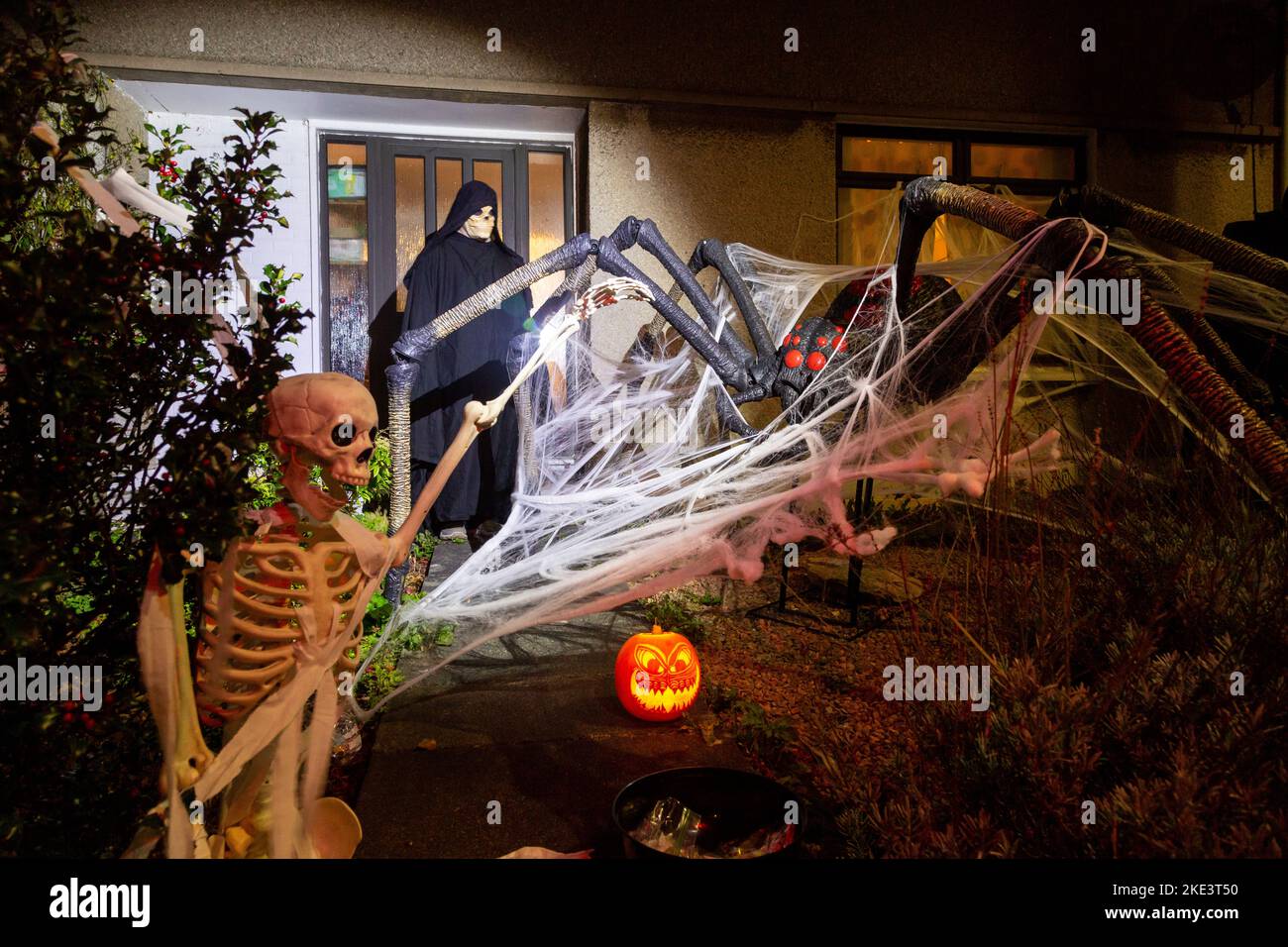 Una casa scozzese che celebra Halloween con un gigantesco ragno e scheletro decorazione. Foto Stock