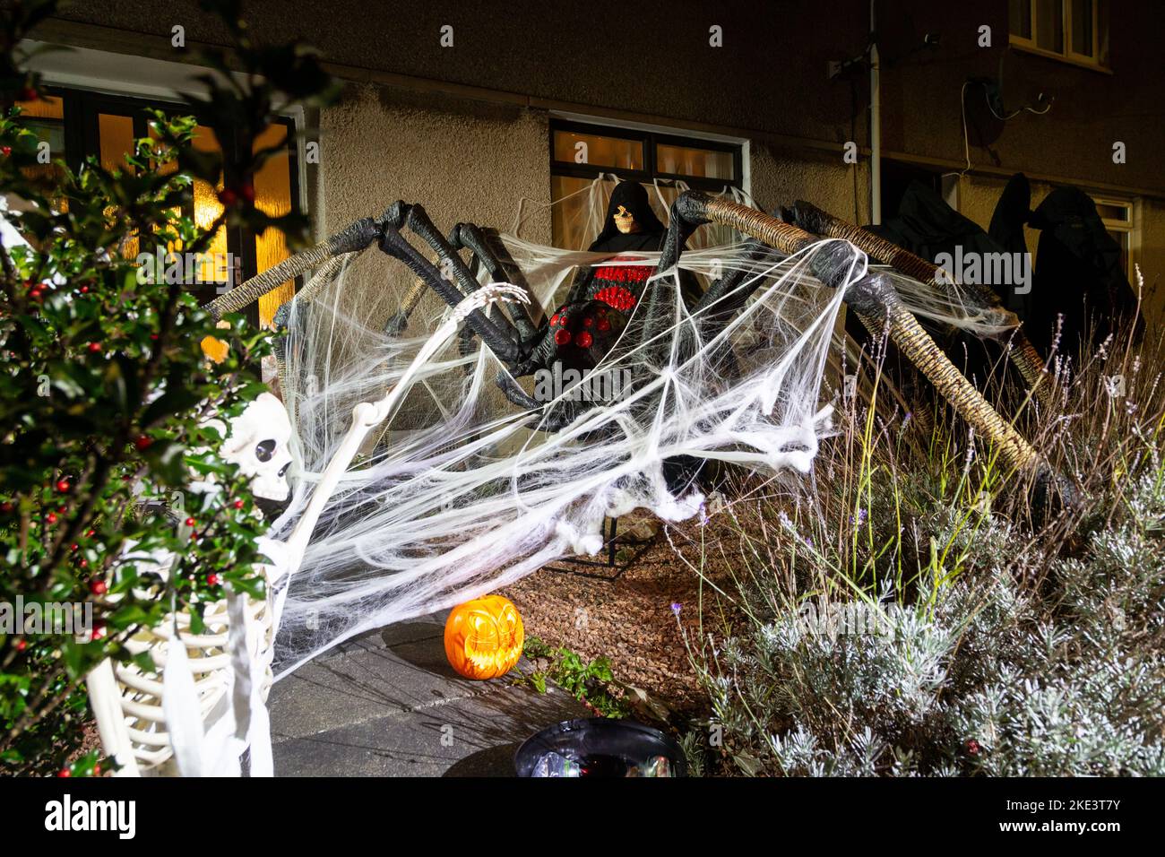 Una casa scozzese che celebra Halloween con un gigantesco ragno e scheletro decorazione. Foto Stock