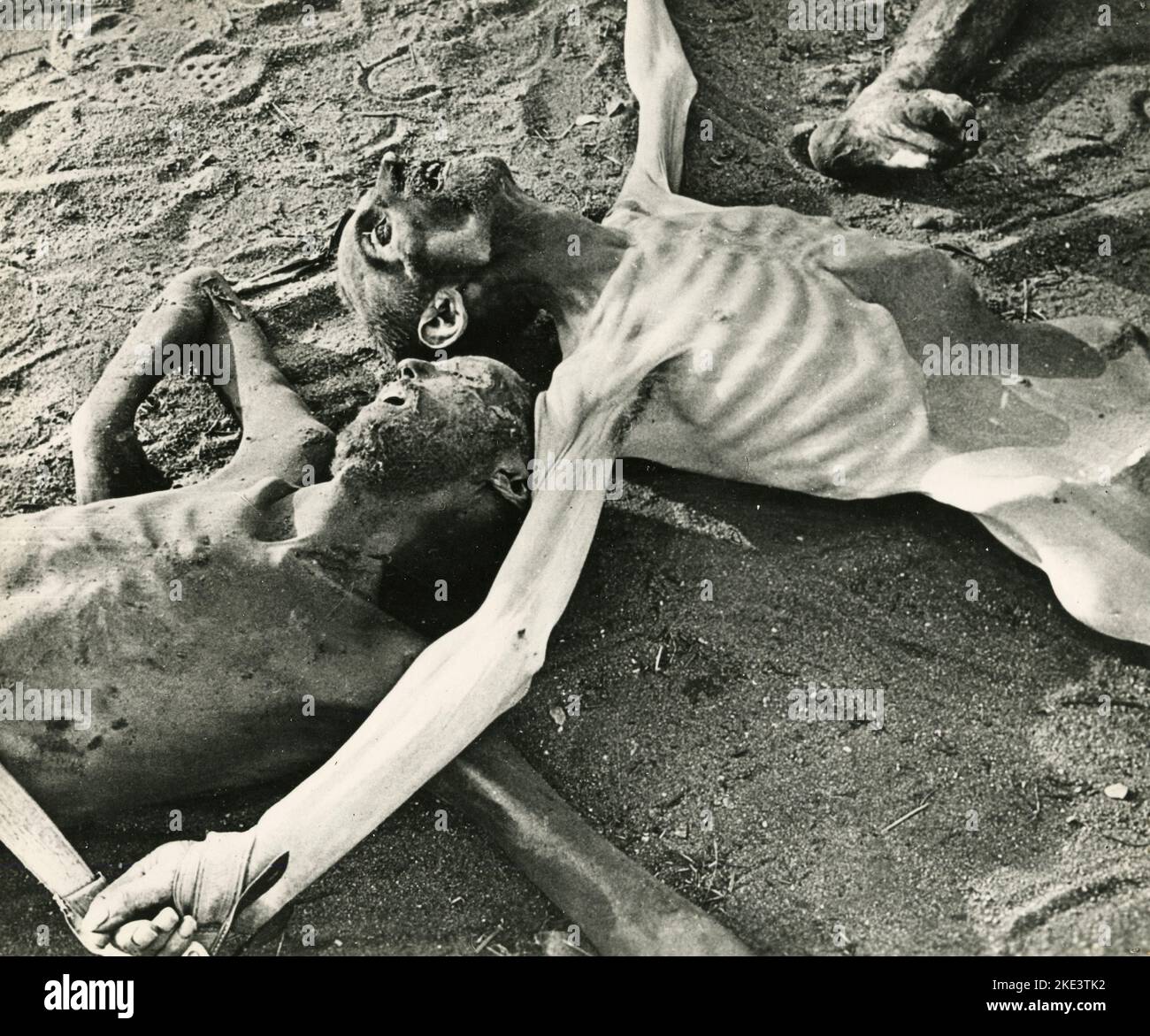 Prigionieri del campo di concentramento tedesco trovati morti nel lager, Auschwitz, Polonia 1945 Foto Stock