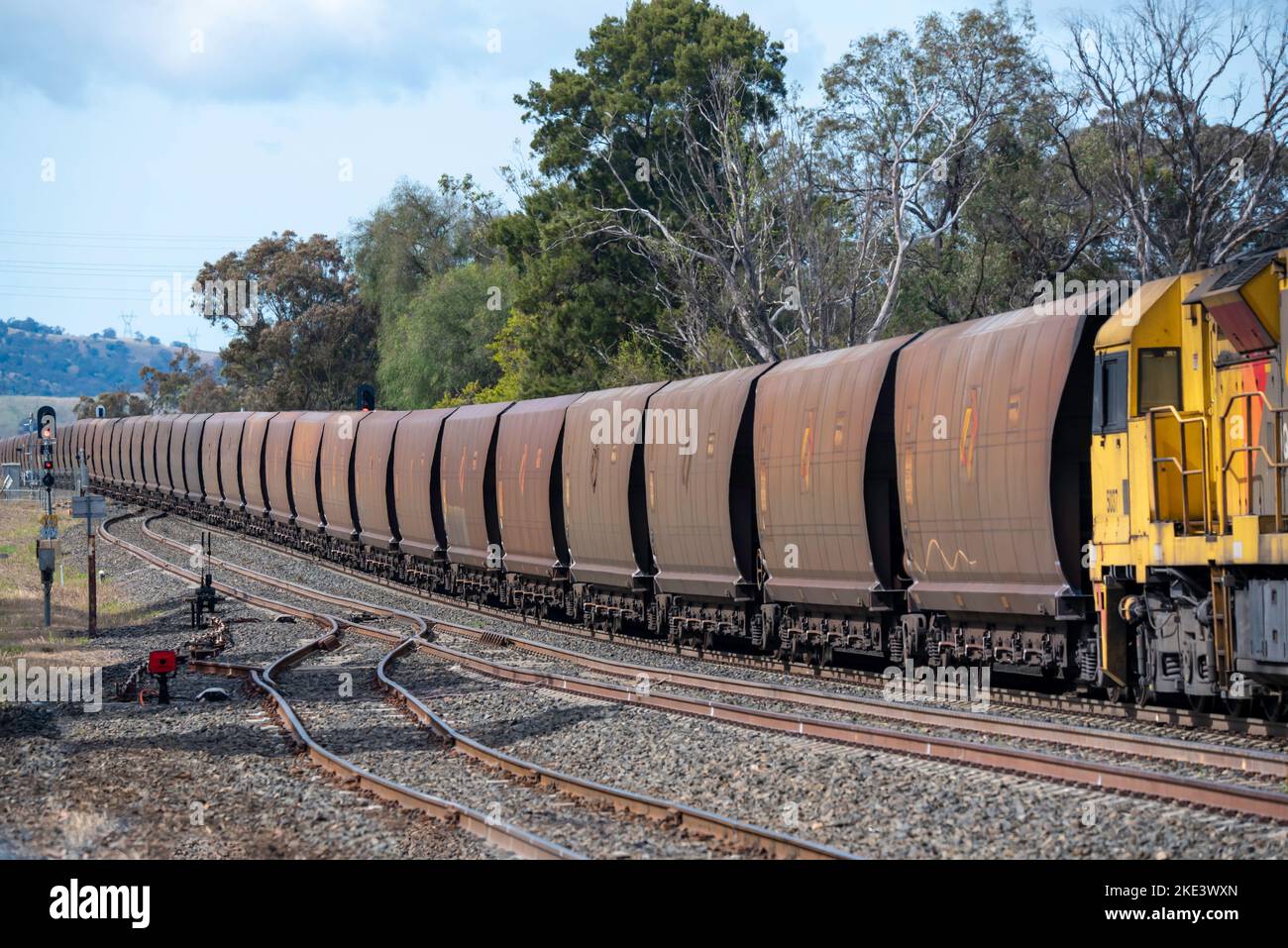 Una locomotiva QR National di classe 5020 e carri a carbone si fermavano alla stazione ferroviaria Willow Tree nella Upper Hunter Valley del nuovo Galles del Sud Foto Stock