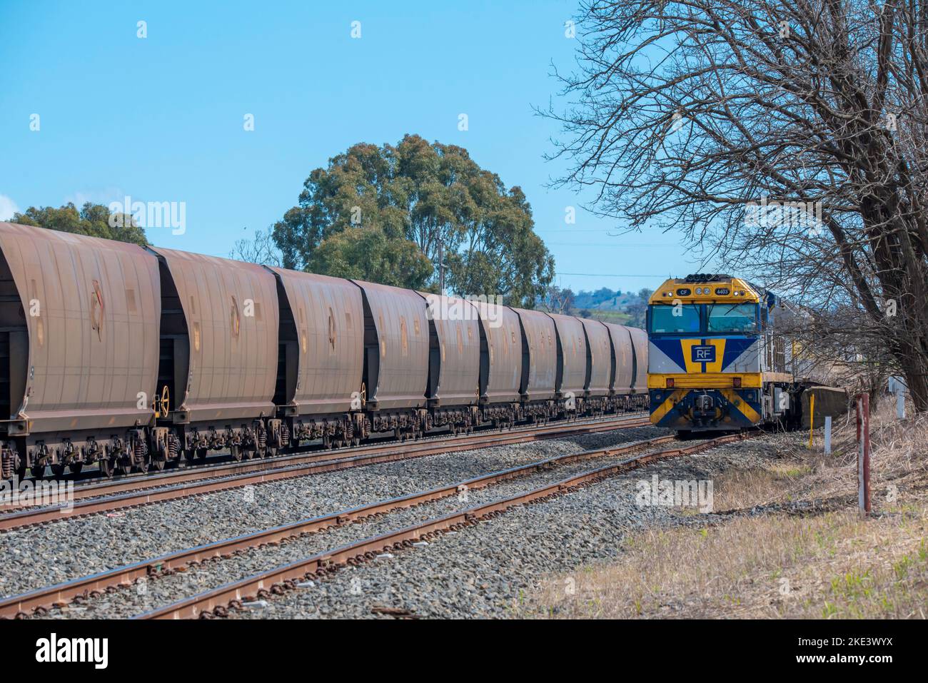 Un primo motore diesel per locomotive CF 4403 si è fermato appena fuori dalla stazione ferroviaria di Willow Tree nella Upper Hunter Valley, nel nuovo Galles del Sud, in Australia Foto Stock