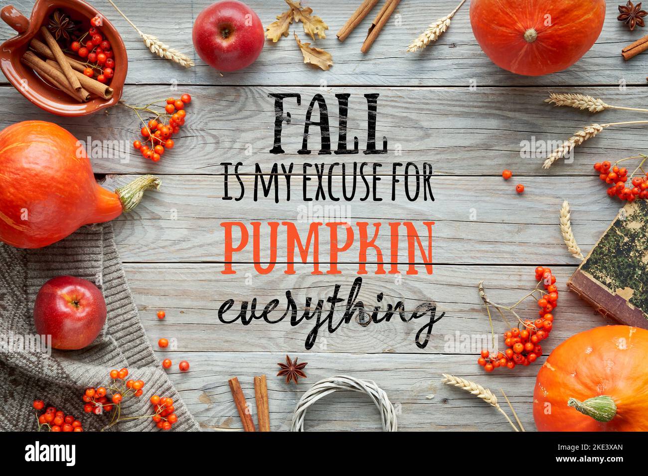 Testo caduta è la mia scusa per zucca tutto su legno vecchio. Zucca di Hokkaido d'arancia, bacca di rowan, mele, cannella. Decorazioni autunnali su legno antico. Giacitura piatta Foto Stock