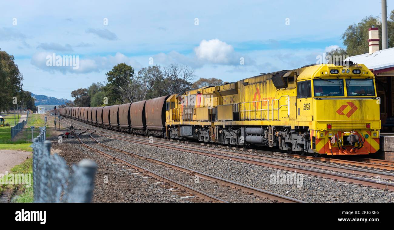 Aurizon e QR National, locomotive di classe 5020 e carri a carbone si fermavano alla stazione ferroviaria di Willow Tree nella Upper Hunter Valley del nuovo Galles del Sud Foto Stock