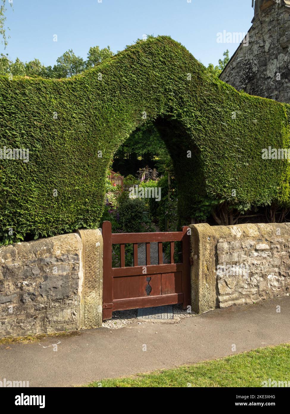 Apertura ad arco in una siepe privata sopra un cancello di legno nel villaggio di Ashford in the Water, Derbyshire, Regno Unito Foto Stock