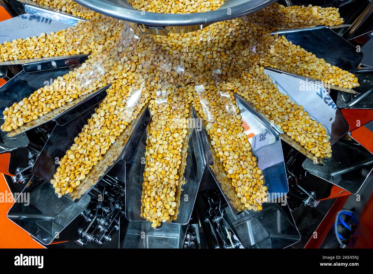 Una pesatrice industriale a più teste che prepara porzioni di piselli per il confezionamento. La foto è stata scattata in condizioni di luce naturale. Foto Stock