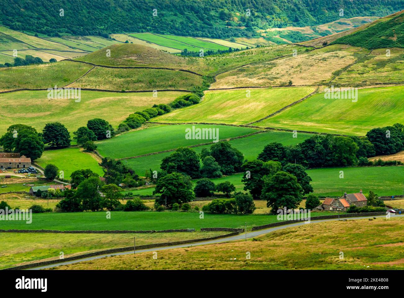 Farrmland a Crossley Side vicino a Ainthorpe Rigg vicino a Danby nel North York Moors National Park Yorkshire Inghilterra Regno Unito. Foto Stock