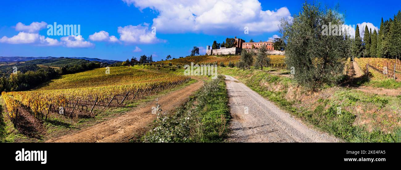 Italia, scenario della Toscana. Vista panoramica sul bellissimo castello medievale Castello di Brolio in Chianti circondato da vigneti autunnali dorati Foto Stock