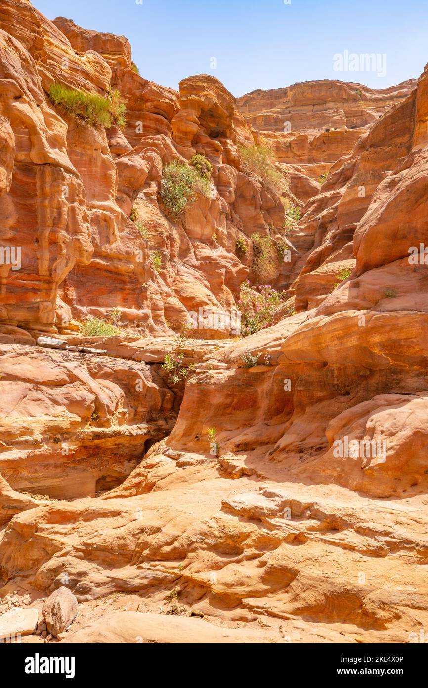 Inizio del percorso verso il Monastero di Petra Jordan Foto Stock