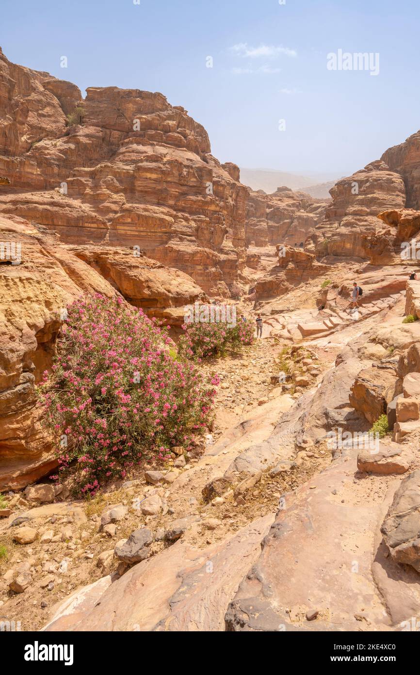 Guardando lungo il sentiero per il monastero di Petra Jordan Foto Stock