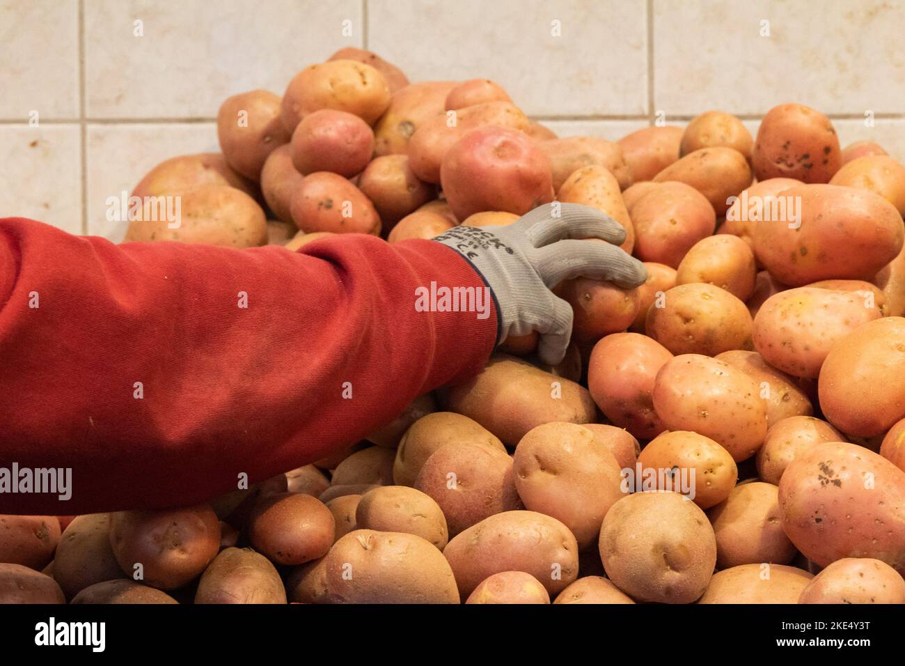 Budapest, Ungheria. 10th Nov 2022. Le patate vengono viste in un mercato locale a Budapest, in Ungheria, il 10 novembre 2022. Per proteggere le famiglie dai costi crescenti, mercoledì il governo ungherese ha aggiunto uova e patate alla lista dei prodotti alimentari protetti da limiti di prezzo. PER ANDARE CON 'l'inflazione dell'Ungheria colpisce 21,1 pct nel mese di ottobre come i prezzi dei tappi di governo su più articoli alimentari' credito: Attila Volgyi/Xinhua/Alamy Live News Foto Stock