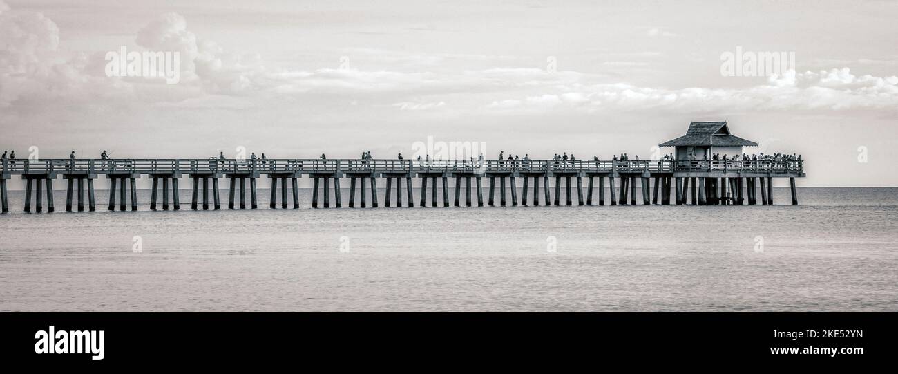 Un'immagine panoramica del molo di pesca di Napoli Florida, del Golfo del Messico, della fotografia in bianco e nero Foto Stock