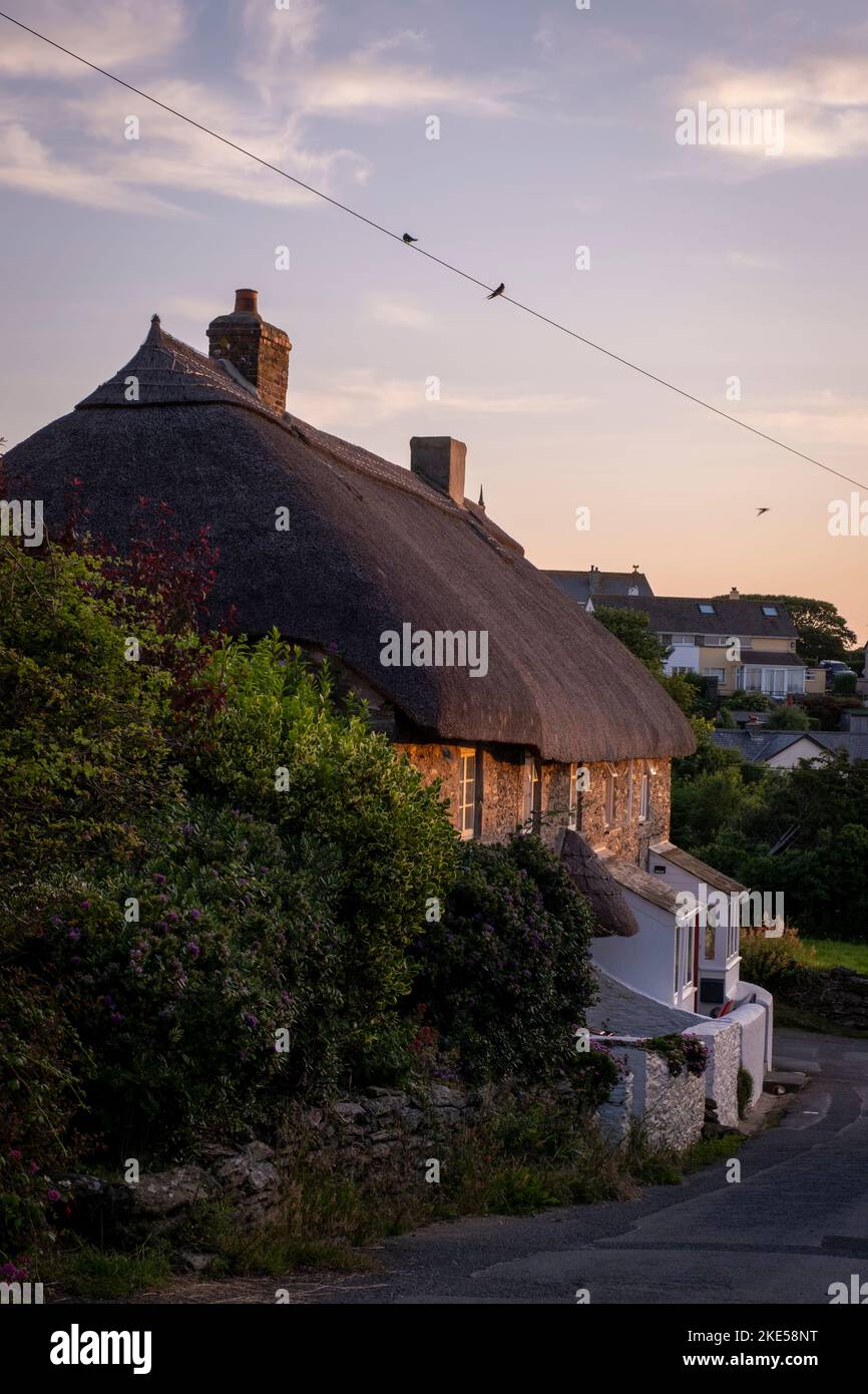 Tramonto a Prawle Est, Estate. Vecchi cottage con tetto in paglia, e Telegraph filo con rondini. Foto Stock