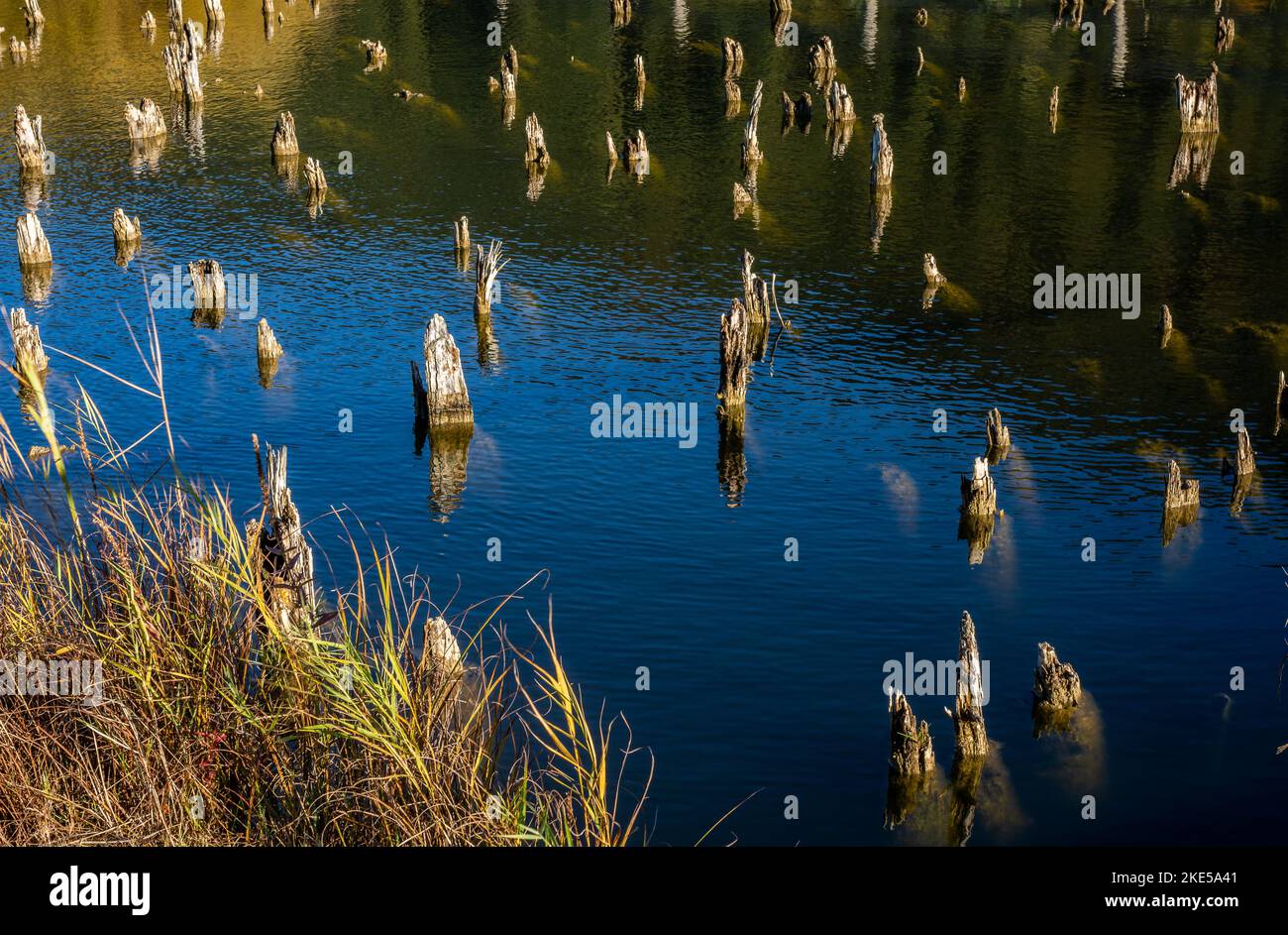 Il sito archeologico di Fiavè è uno dei più importanti complessi preistorici palafitticoli europei Giudicarie, provincia di Trento, Italia settentrionale Foto Stock