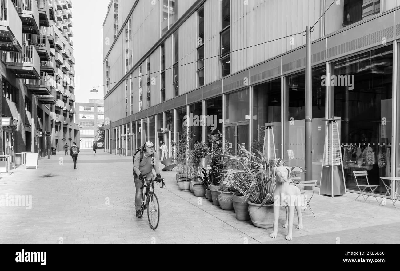 sviluppo residenziale dell'isola cittadina sul fiume lea a canning town, londra. lyell street mostra vicino alla piazza botanica Foto Stock