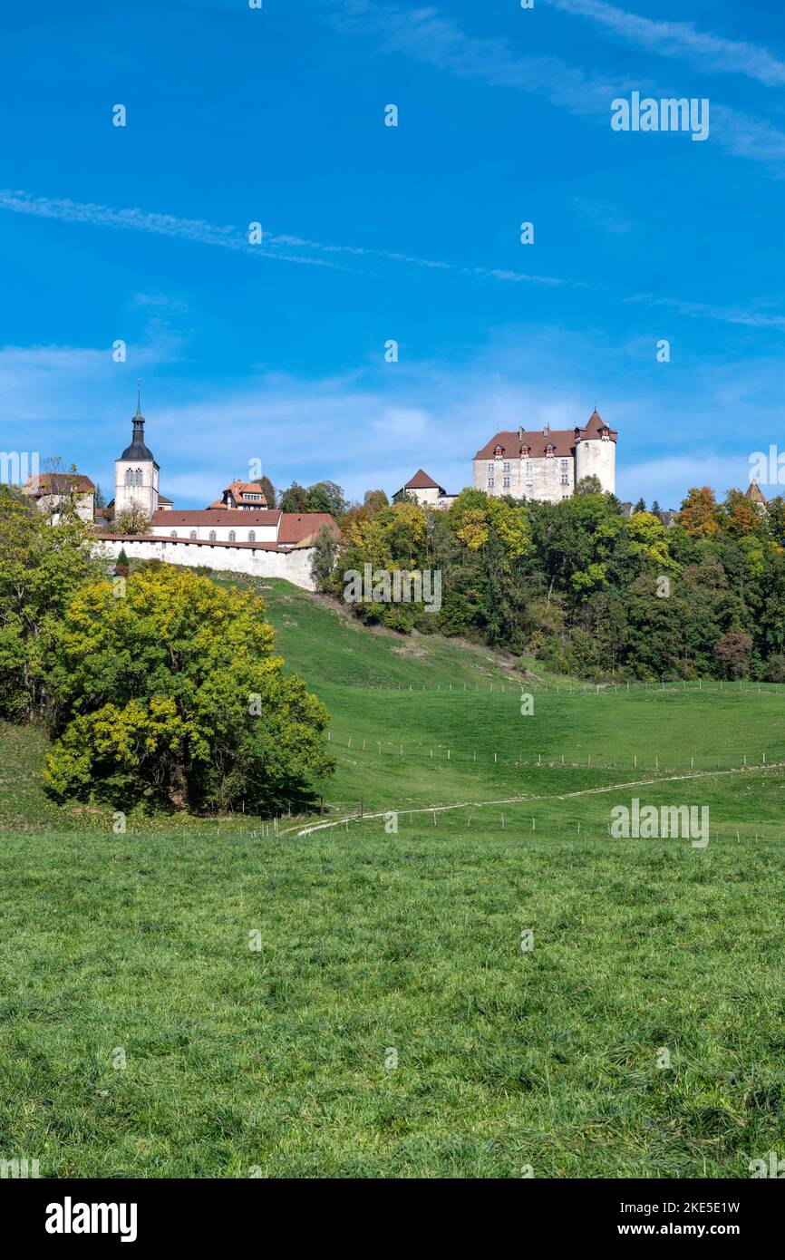 Suisse, Schweiz, Svizzera, Friburgo, Friburgo, Canton Friburgo, Kanton Friburgo, Château de Gruyères, Gruyères, Gruyère, Château, Schloss, castl Foto Stock