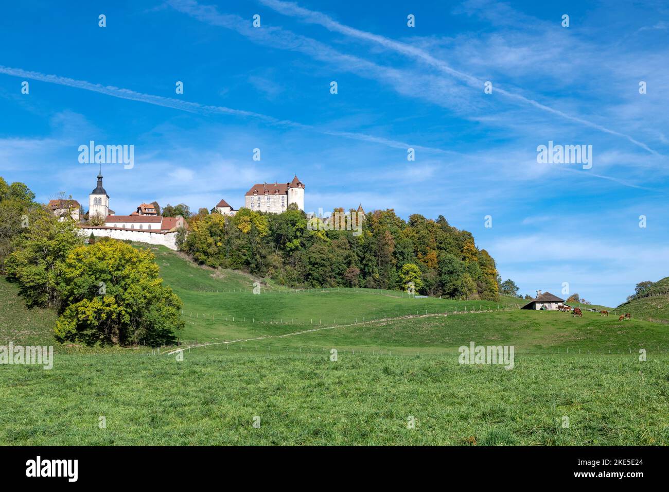 Suisse, Schweiz, Svizzera, Friburgo, Friburgo, Canton Friburgo, Kanton Friburgo, Château de Gruyères, Gruyères, Gruyère, Château, Schloss, castl Foto Stock