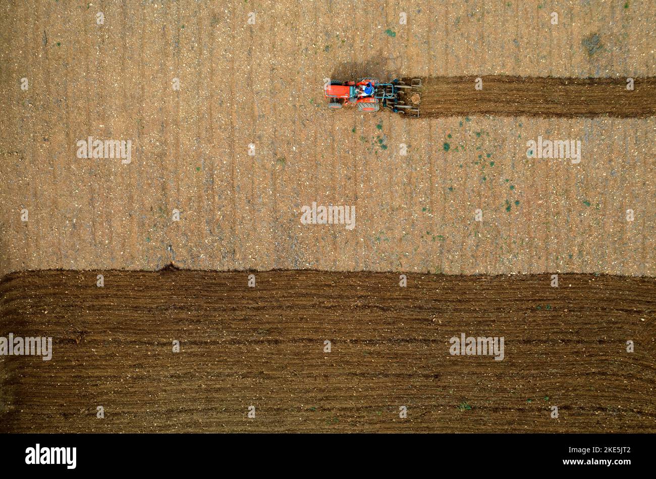 Trattore che arava un field.Mallorca.Spain Foto Stock