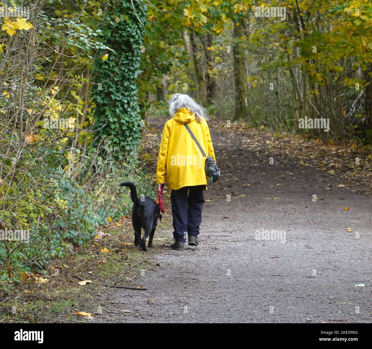 Una donna in un cappotto giallo che cammina il suo cane sul Sentiero di Sett Valley, Derbyshire Foto Stock