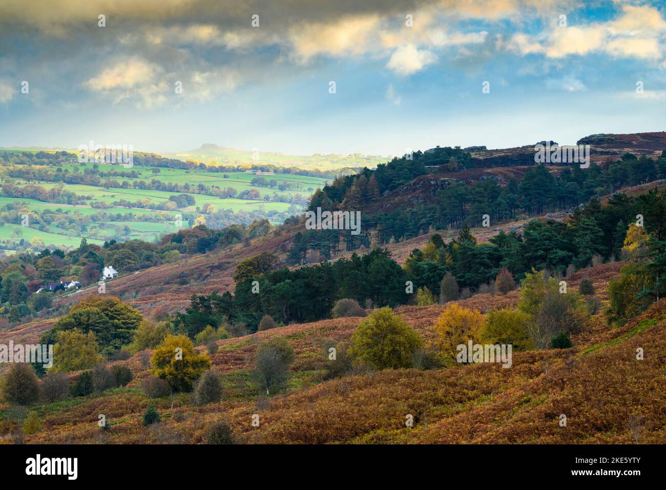 Vista di Wharfedale & Cow & Calf Rocks (bracken marrone & erica, Almscliffe Crag illuminato dal sole attraverso la valle, alta collina) - Ilkley, West Yorkshire, Inghilterra Regno Unito. Foto Stock