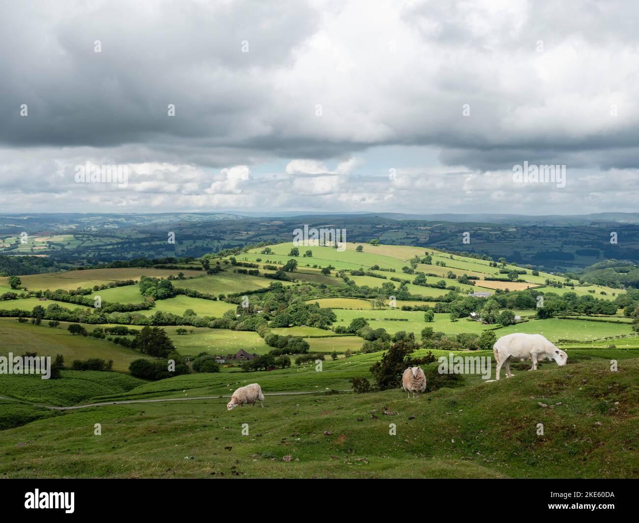 Hay's Bluff, Black Mountains, Brecon Beacons National Park, Galles Foto Stock